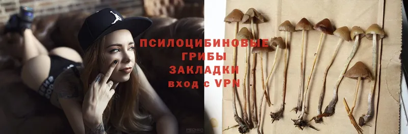 купить закладку  Нарьян-Мар  Галлюциногенные грибы Psilocybe 